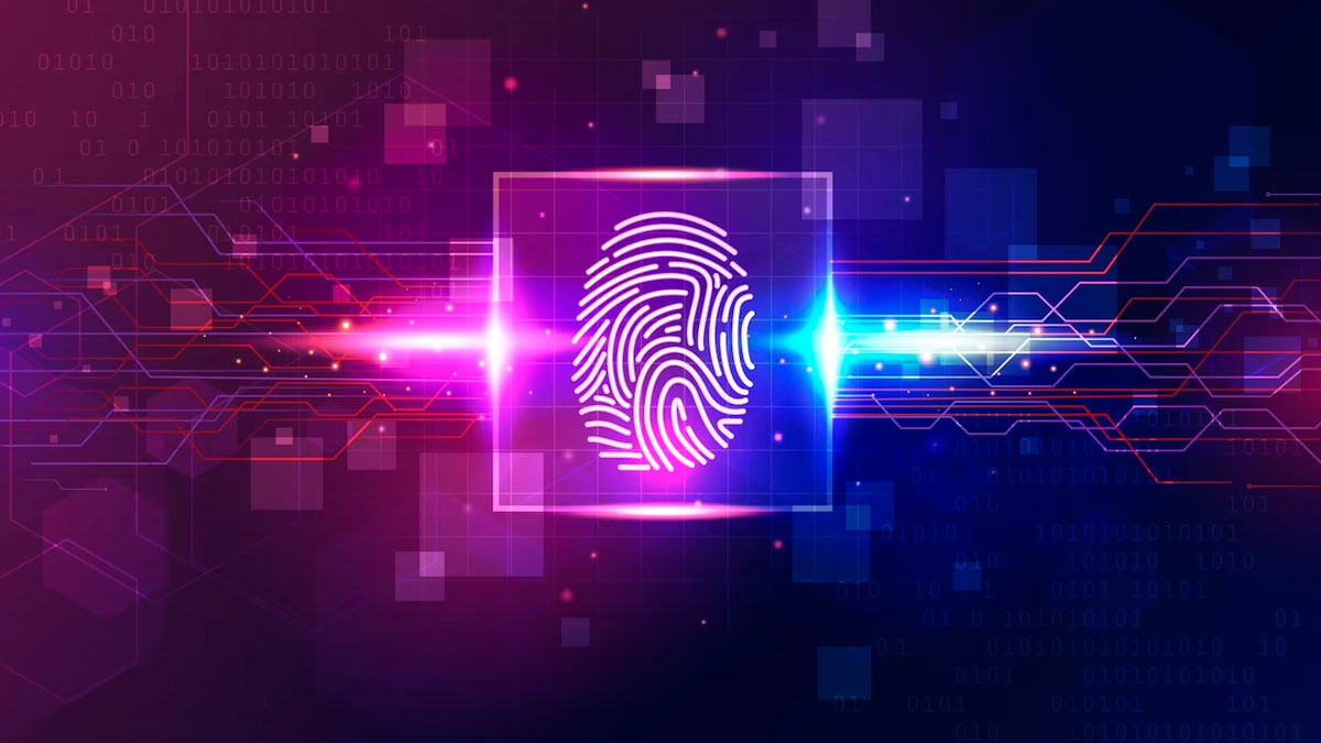 A Melhor Linguagem de Programação para Criptografia e Porquê